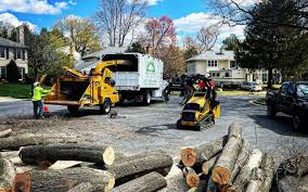 Trusted Hurst, TX Tree Care Experts